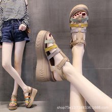 坡跟凉鞋女夏季2024新款高跟网红百搭松糕休闲厚底爆款超火罗马鞋