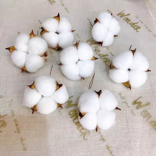 Ins Natural Cotton Head Dried Flower Branch Photo Props Scandinavian Home Soft Decoration Background Dried Flower Bouquet Fresh DIY Ins Natural Cotton Head Dried Flower Branch Photo Props Scandinavian Home Soft Decoration Background Dried Flower Bouquet Fresh DIY