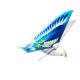 Simulation Luban Bird Free Flying Bird Induction Flight Electric Luminous Swing Plane Flapping Wing Night Market Stall Toys