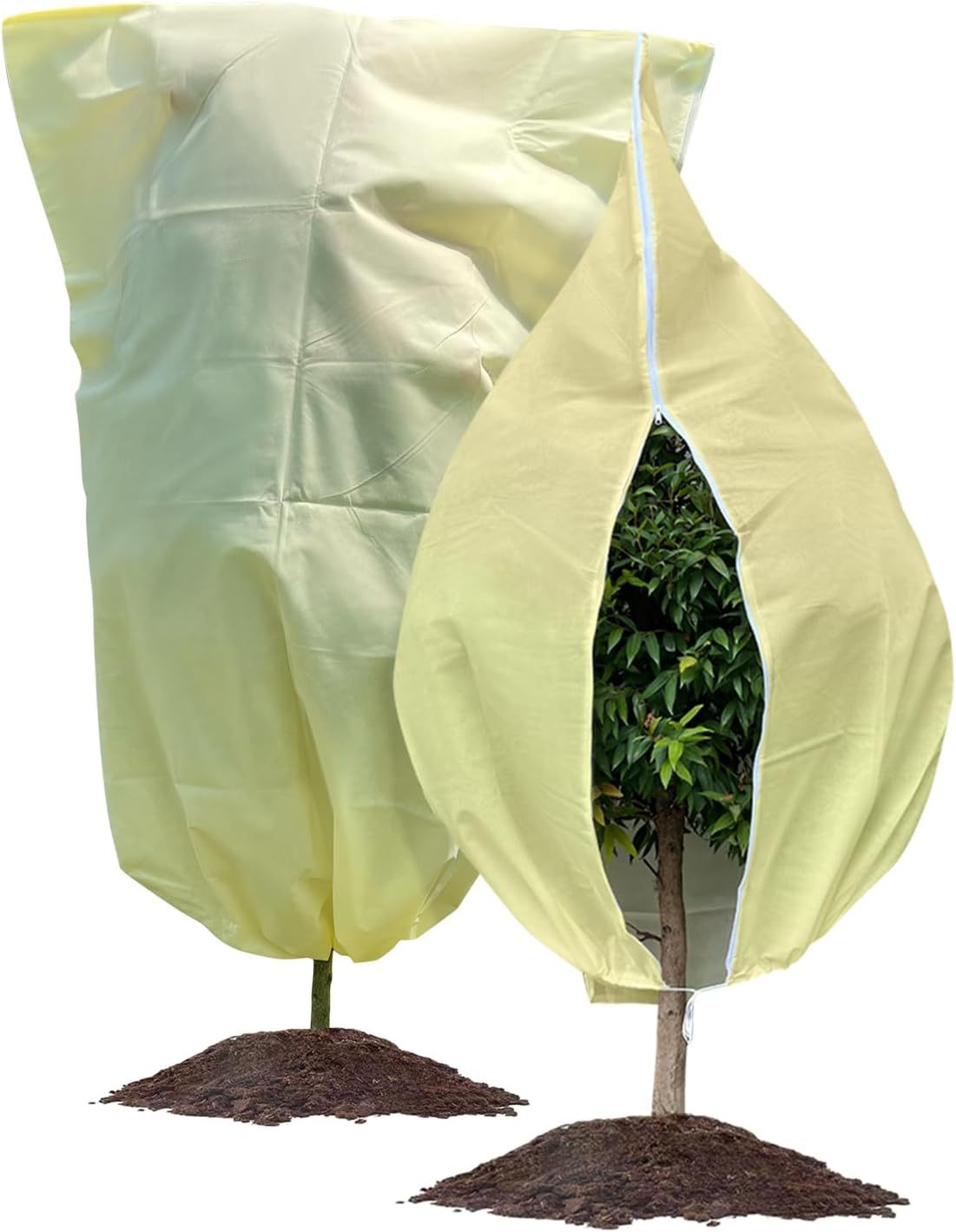 61wrcQnr6IL._AC_SL1500_