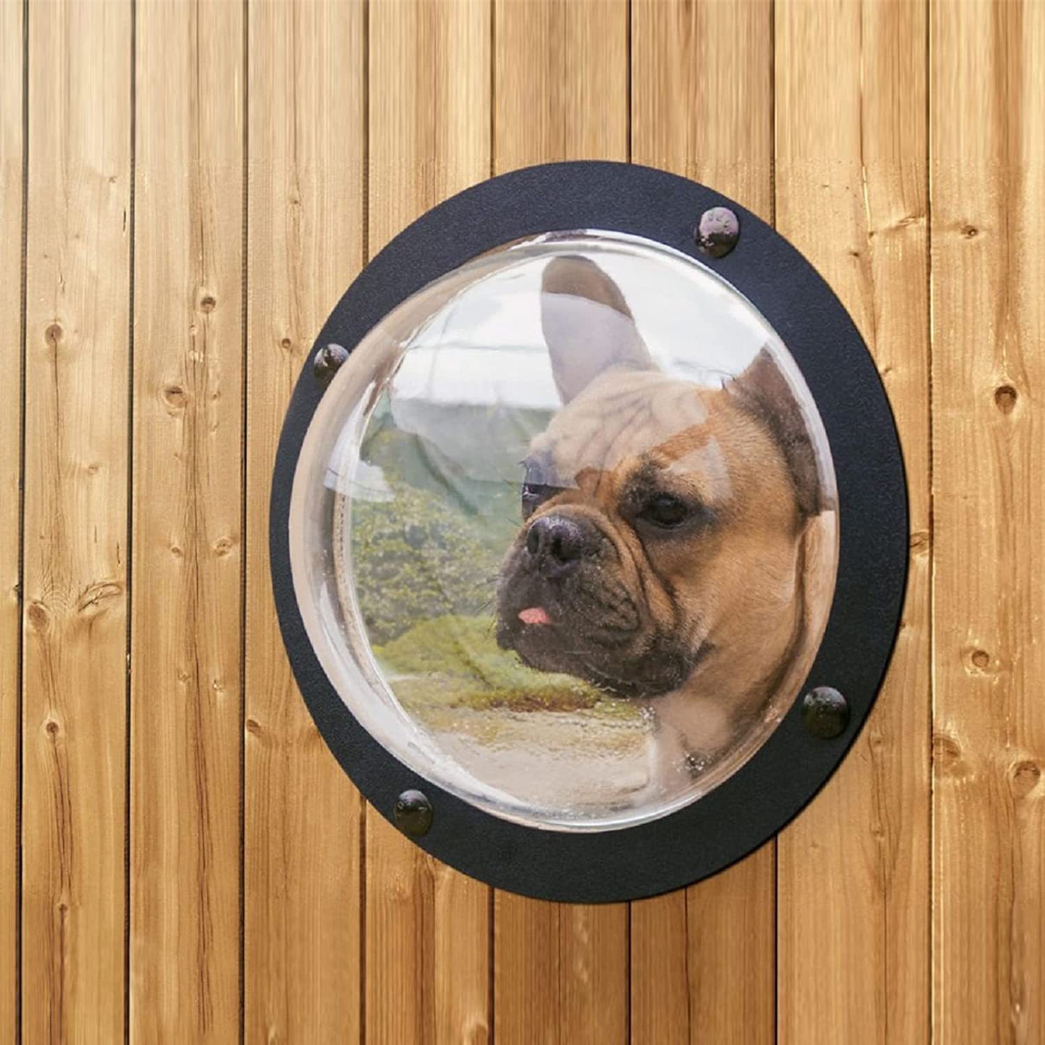 Foreign trade cross-border cat and dog fence windows acrylic dome transparent semi-dome pet windows bubble window plastic window