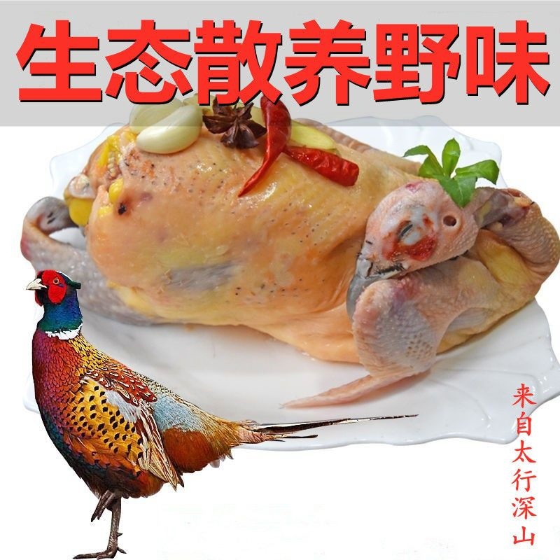 正宗野鸡肉农家散养跑山野鸡肉山鸡肉七彩山鸡肉土鸡肉滋补月子鸡
