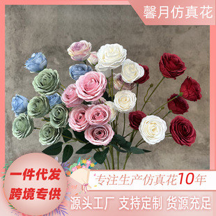 õ�廨6�^õ��ӼҾƵ��Y���˹����b����ٻ����l���滨���l