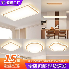 吸顶灯;吊灯;成套灯具