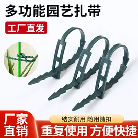 束线带;绳索、扎带