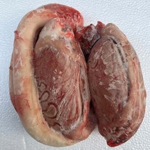 ���rţ��ţ���F���Sţ���rţ������ţ��ţ������rţ��ţغ����]