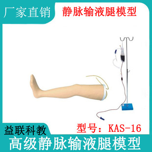 �o�}ݔҺ��ģ�� ��������֫����ݔҺ��ѪӖ����֫ ݔҺ����ģ��