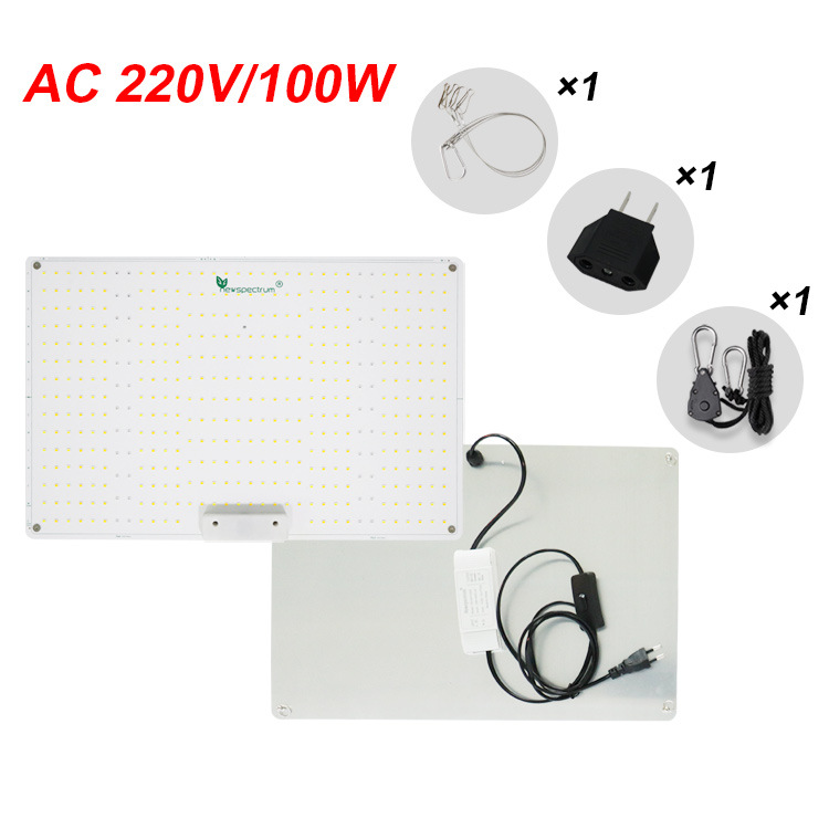 AC 220V/100W
