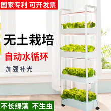 家庭室内阳台立体无土栽培水培蔬菜设备种植箱种菜神器水耕种植机