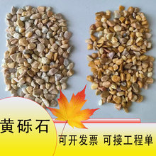 现货黄色砾石园林造景花园铺设鱼缸装饰黄色石子透水路面黄色卵石