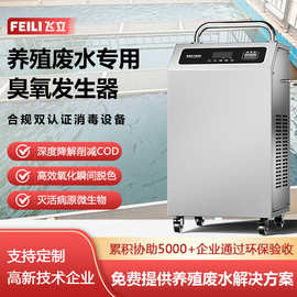飞立臭氧消毒机工厂移动式臭氧机 废水处理脱色降COD用臭氧发生器