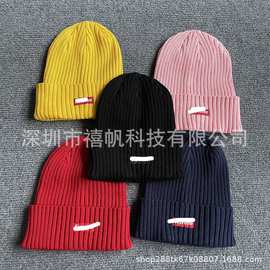 秋冬针织帽外贸贴布绣针织帽欧美时尚毛线帽保暖帽情侣套头帽子