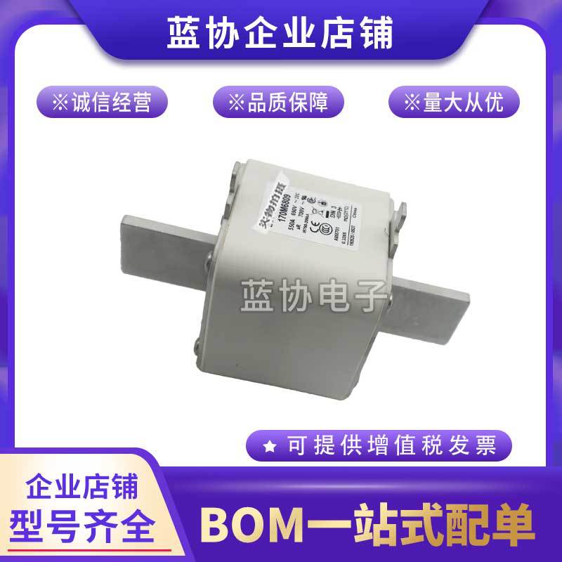 蓝协170M6763 170M6764 170M6765 170M6766 170M6767巴斯曼熔断器