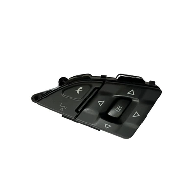 Right Side Multimedia/Information – Steering wheel