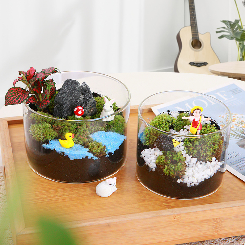 苔藓微景观diy材料圆柱型瓶材料包 创意亲子手工迷你趣味绿植盆栽