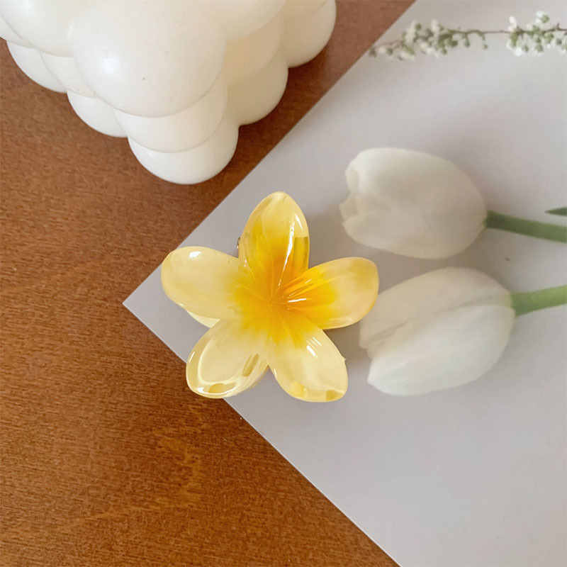 4CMの卵の花は国境を越えて熱売します。|undefined