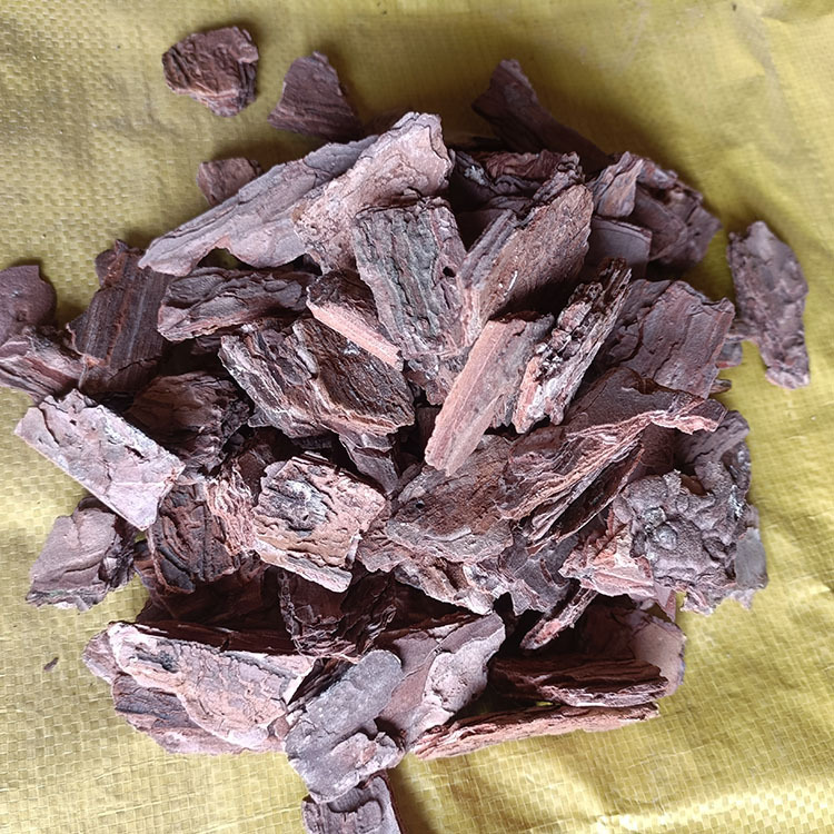 001de119b21585a66c46dbeddd2d99