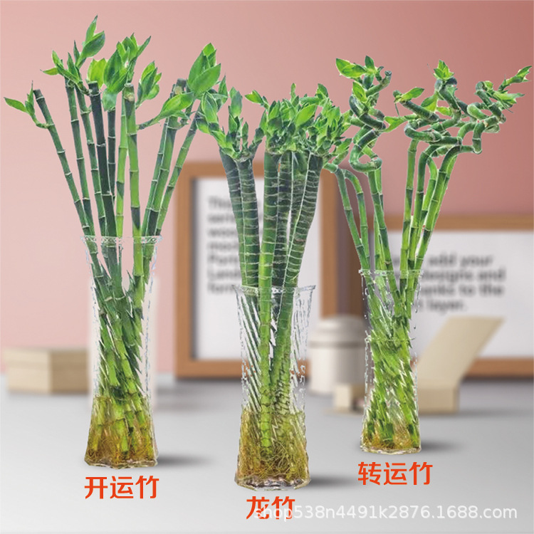 O1CN01tWXkUm26fbsHj9mkC_!!4241