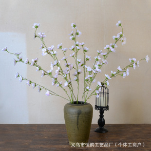 ���滨2���֦���Ļ��ٻ���c��ˇ��Yܛ�b�Ƶ��b������l��