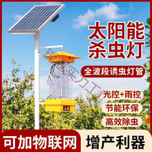 ̫����r�Ú��x���x�T�x����ß������l��ʽ�~���Bֳ���@ͥԺ����