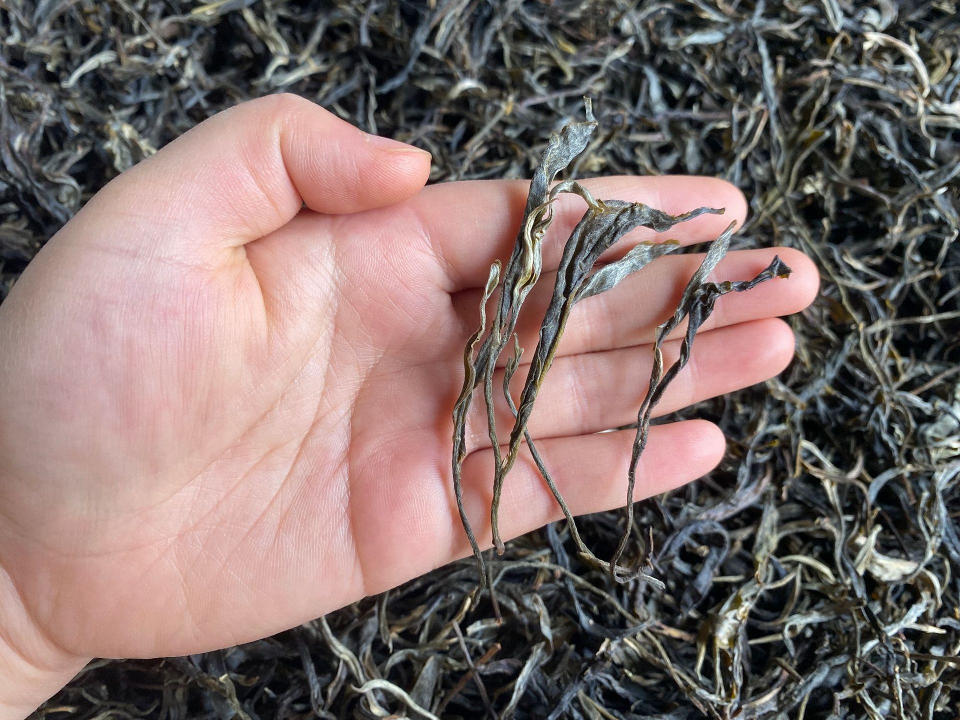 546e790db3d6100e580c79bd84f876