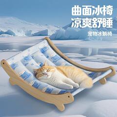 猫の氷はペットの夏を敷きます。