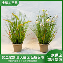 βͲbYƷĔz߷ɻ҃ȼҾ辰ٻ[