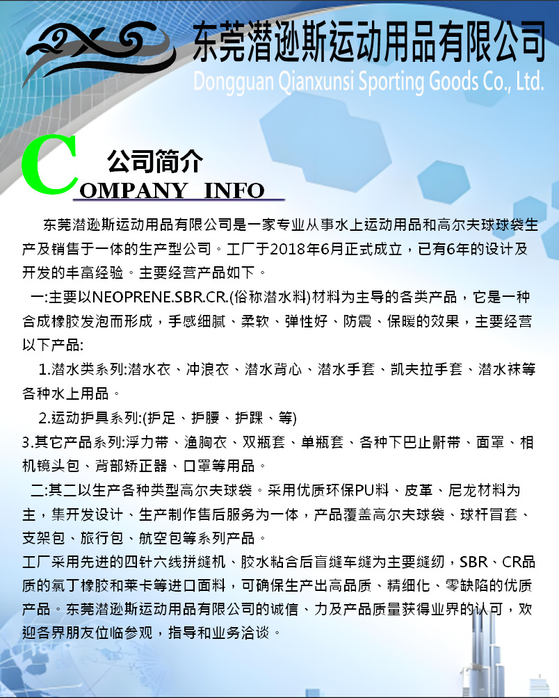 空白公司简介潜逊斯