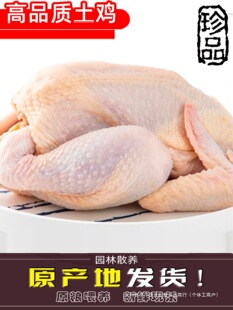 ���r�r�����u���S�u����F��ͯ���u���u��ֻ���]�חl�u���u����u