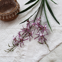 ֩m辰bQlƵ͏dsܛbҕ[O