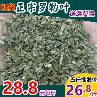 �����_���~��500�����xɢ�b���}��basilʳ�����{�������