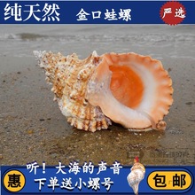 ������ݴ��������Ȼ����ؐ��ʯ̖��̖���~�׼ҾӔ[���Y�����l