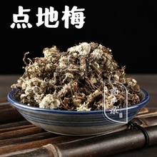 ș���c��÷ �퇵�� /�~�X�� /�׻������ /���ǲ� ���]��؛