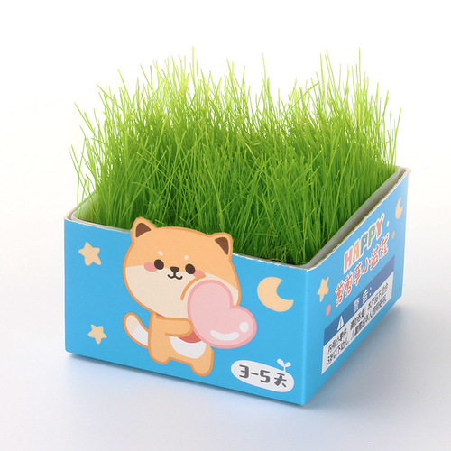 Children's DIY green plant cutting grass green plant small potted hydroponic bonsai desktop mini planting student grass potted plant