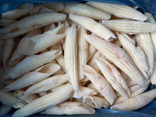 ���l������~ ţ�ǻ����~�������F��������ʳ�����ÿ���