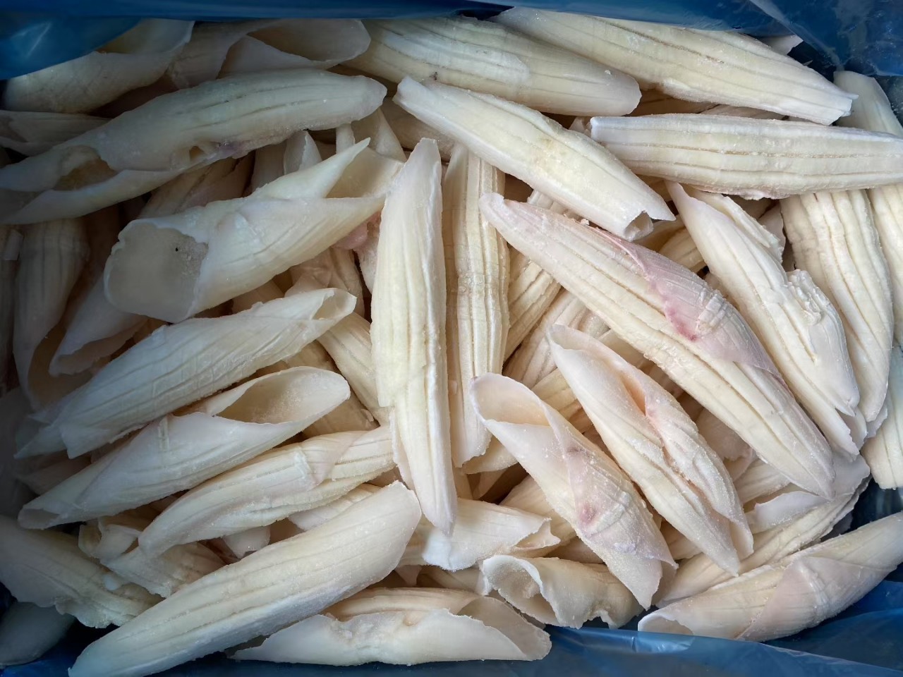 批发火箭鱿鱼 牛角花鱿鱼花冷冻须铁板烧烤火锅食材商用烤肉