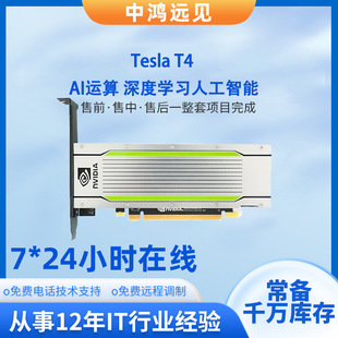 �m���Ӣ���_��NVIDIA��Teslaϵ�� T4 16GB GPU���Ӌ������@��
