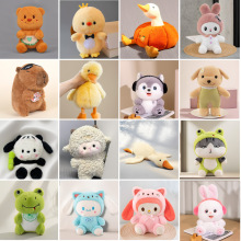 �¿�˴�ץ�C���޹��л�c������ż��ӶY�Y������ë�q������l