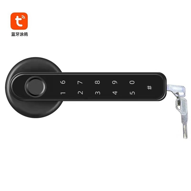 TY196-Negro-Huella digital-Contraseña-Tarjeta IC-Doodle Aplicación de teléfono móvil Bluetooth