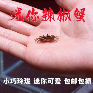 ��������зˮ������΢���^��ˮ�^�pз����ˮ�~�׳����坍�����B��