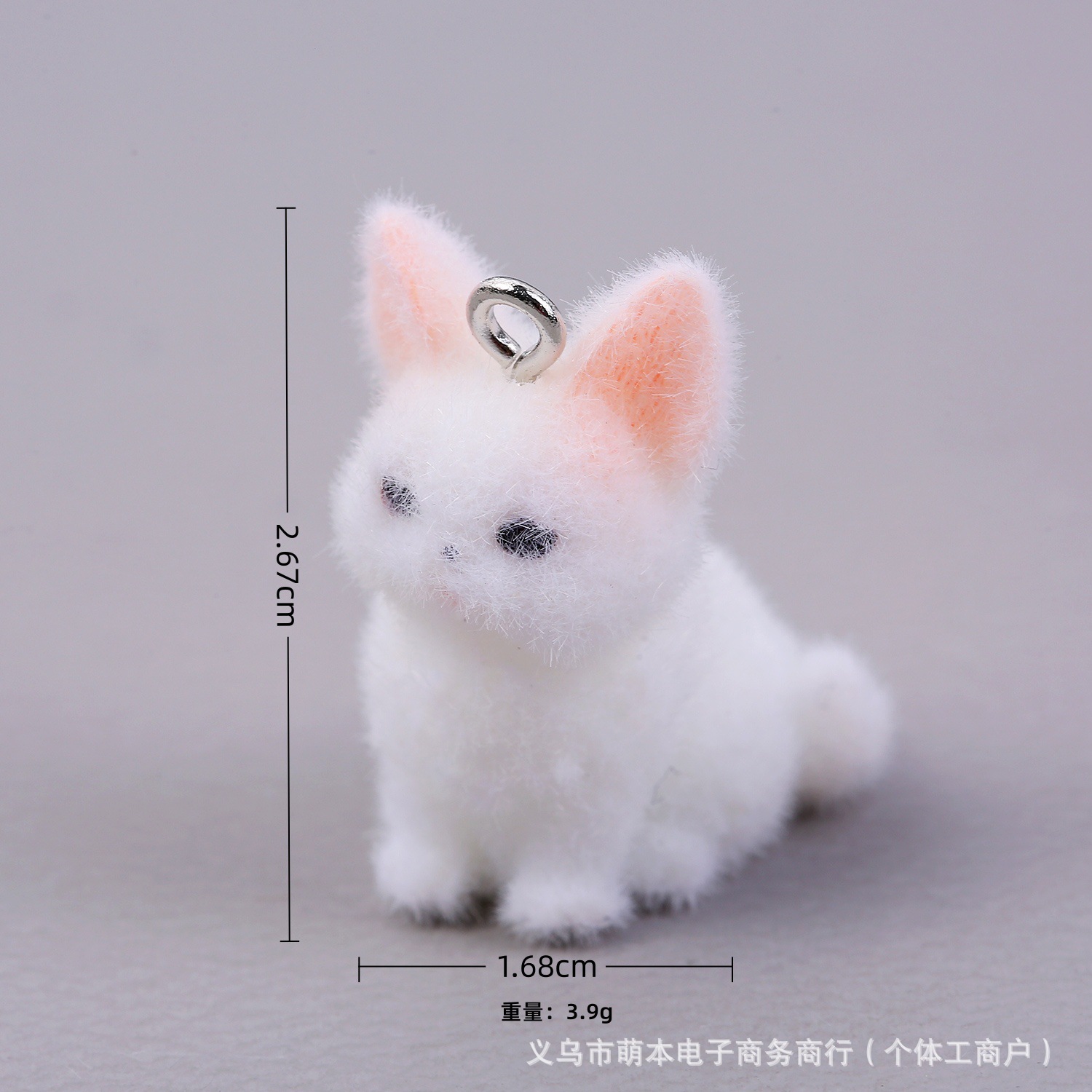 독일 곱슬 고양이