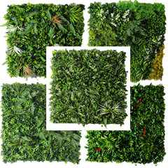 防曬綠植牆仿真植物人造塑料假草裝飾 裝扮陽台室內道具背景花牆