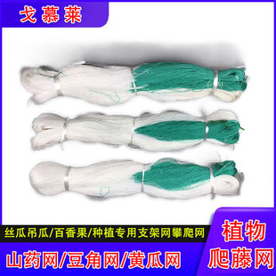 �S�ϡ����ǵ�ֲ�����پW ����ϩ�@ˇ���ϾW ��������پW �F؛