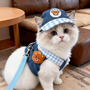 ������Kţ�����b���Ŀɠ����ر�؈���·��ļ��������؈��ͨ��