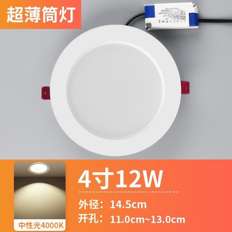 Flagship Aluminum 12W Neutral-Open Hole 110 to 130