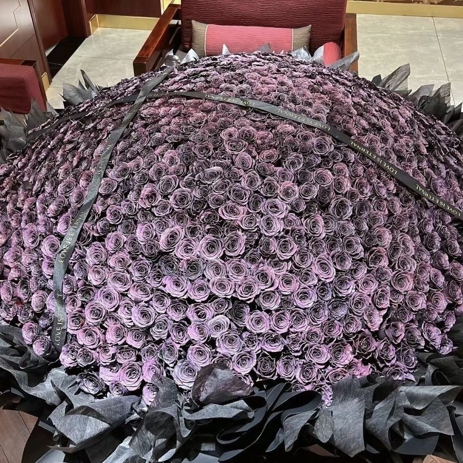 [로맨틱 신호 메인 사진 핫 세일] 199 우메코 소스