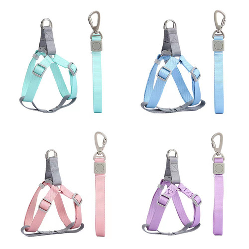 Pet Supplies Amazon New Product Macaron Nylon Dog Leash Set Adjustable Chest and Back Leash
