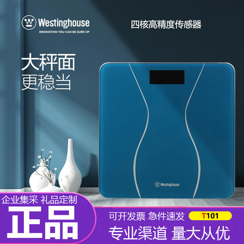 (2) WESTINGHOUSE (WESTINGHOUSE)  Ը  跮 Ը  跮 Ը T101