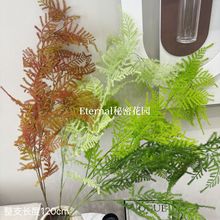 仿真植物文竹绿植蕨叶禅意古风摆放家居造景装饰松刺中式森系造景