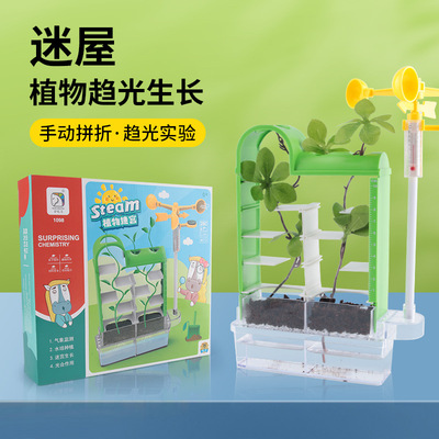 science experiment suit children Botany Maze Vegetables Germination Observation Grow plant girl Toys